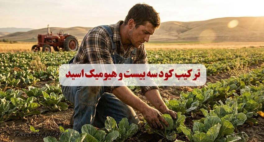 ترکیب کود سه بیست و هیومیک اسید: راهنمای کامل برای کشاورزان_thumbnail