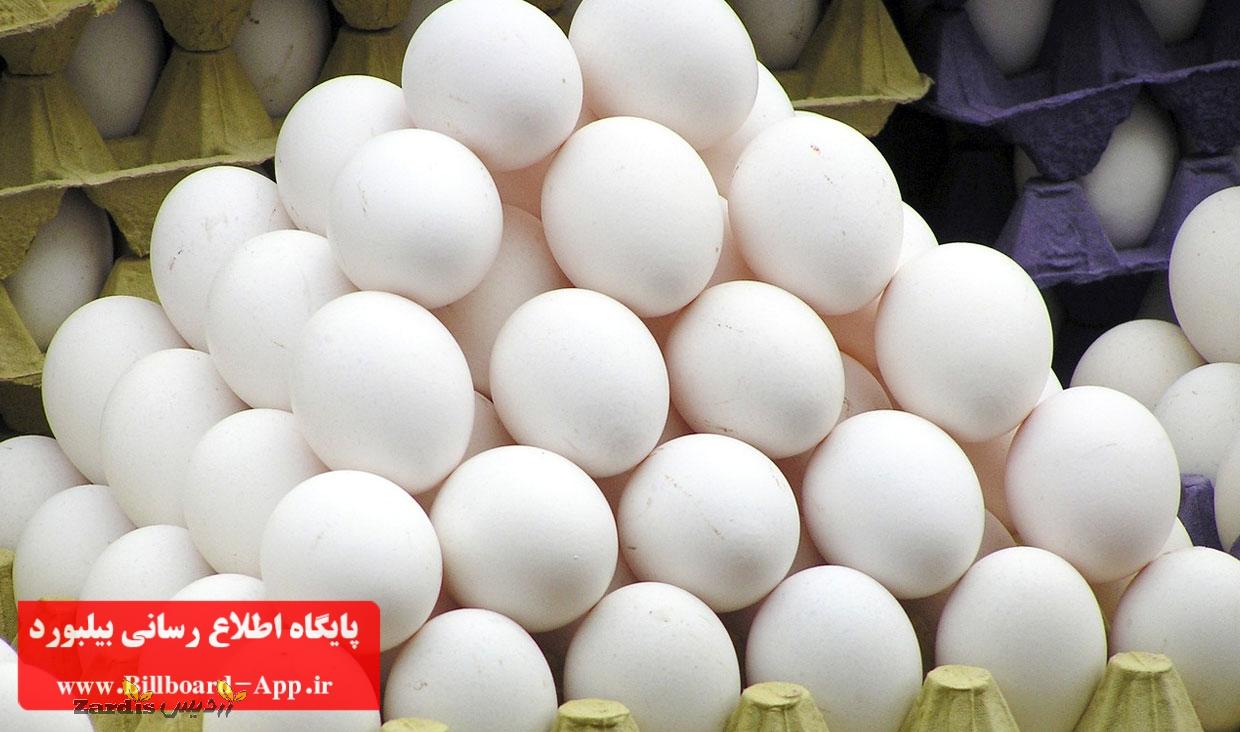 کاهش قیمت تخم مرغ به شانه‌ای ۲۲ هزار تومان و ثبات قیمت مرغ در بازار همدان_thumbnail