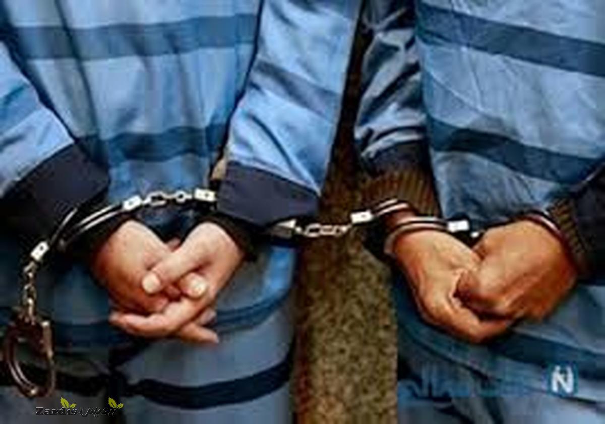 افزایش ۲۵ درصدی دستگیری سارقان در شهرستان بهار_thumbnail