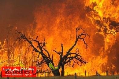 آتش‌سوزی‌های بی‌سابقه جنگل‌های آمازون در یک دهه گذشته_thumbnail