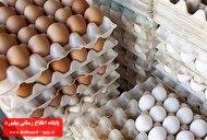 آغاز توزیع تخم مرغ با نرخ مصوب در کشور_thumbnail