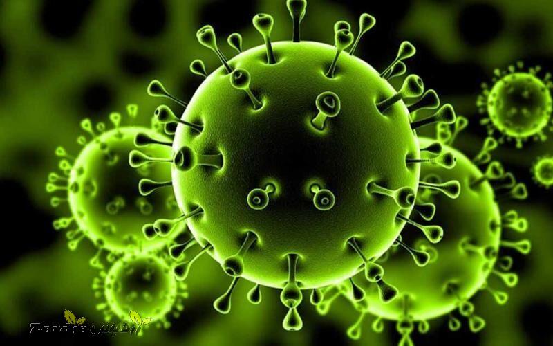 دیروز ۸ بیمار مبتلا به ویروس کرونا در جنوب غرب خوزستان شناسایی شده اند_thumbnail