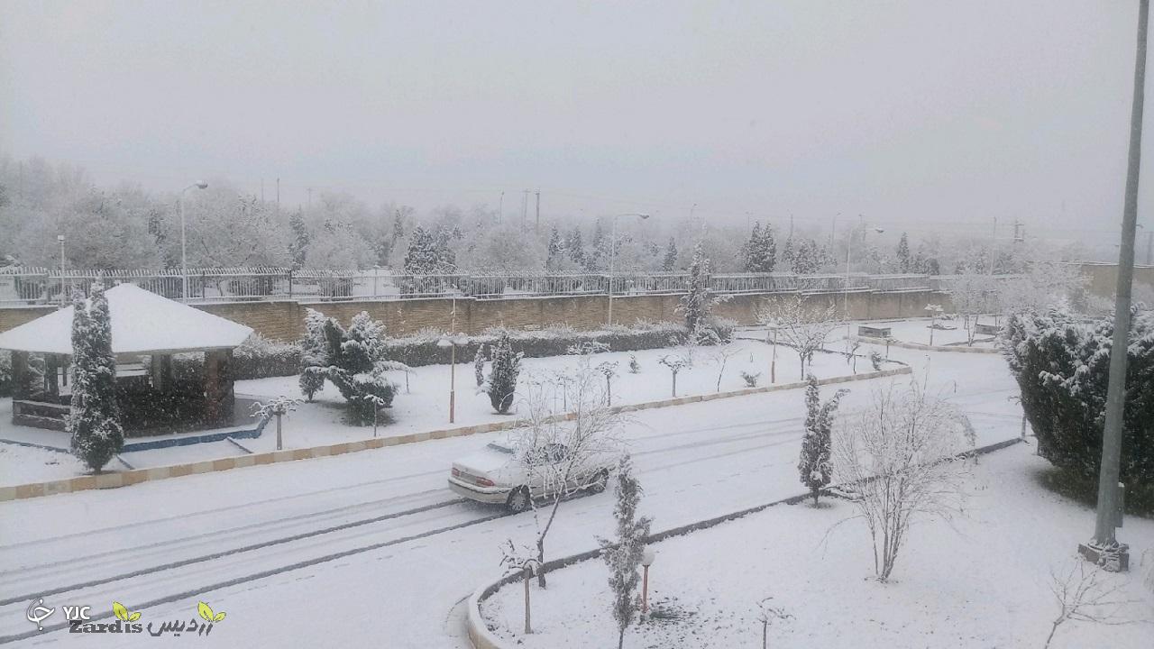 زمستان زرد در استان مرکزی_thumbnail