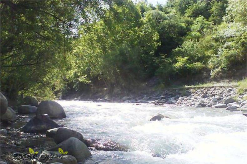 روستای کردان