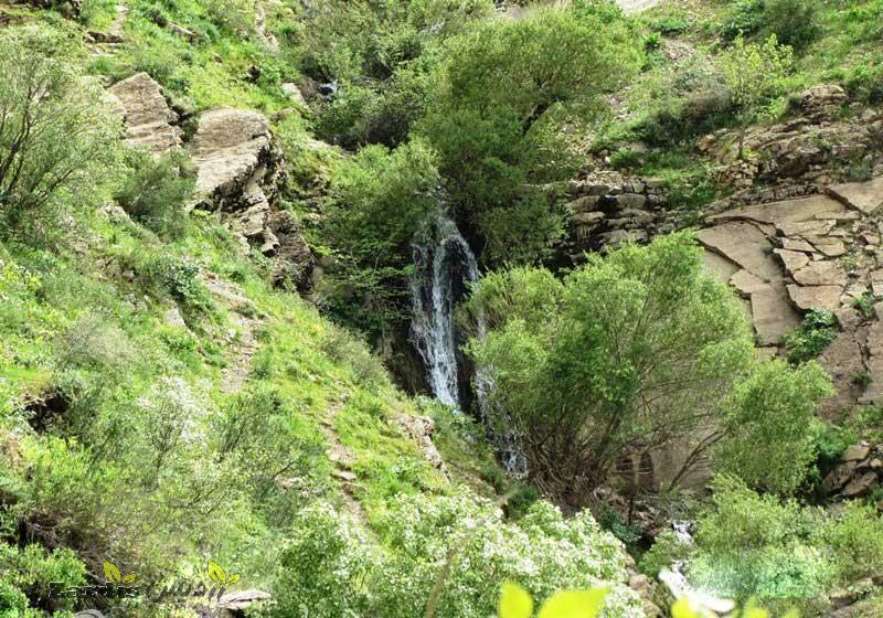 طبیعت سرسبز بهاری آبشار شیلماو