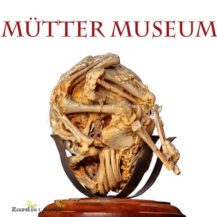 موزه ماتر
