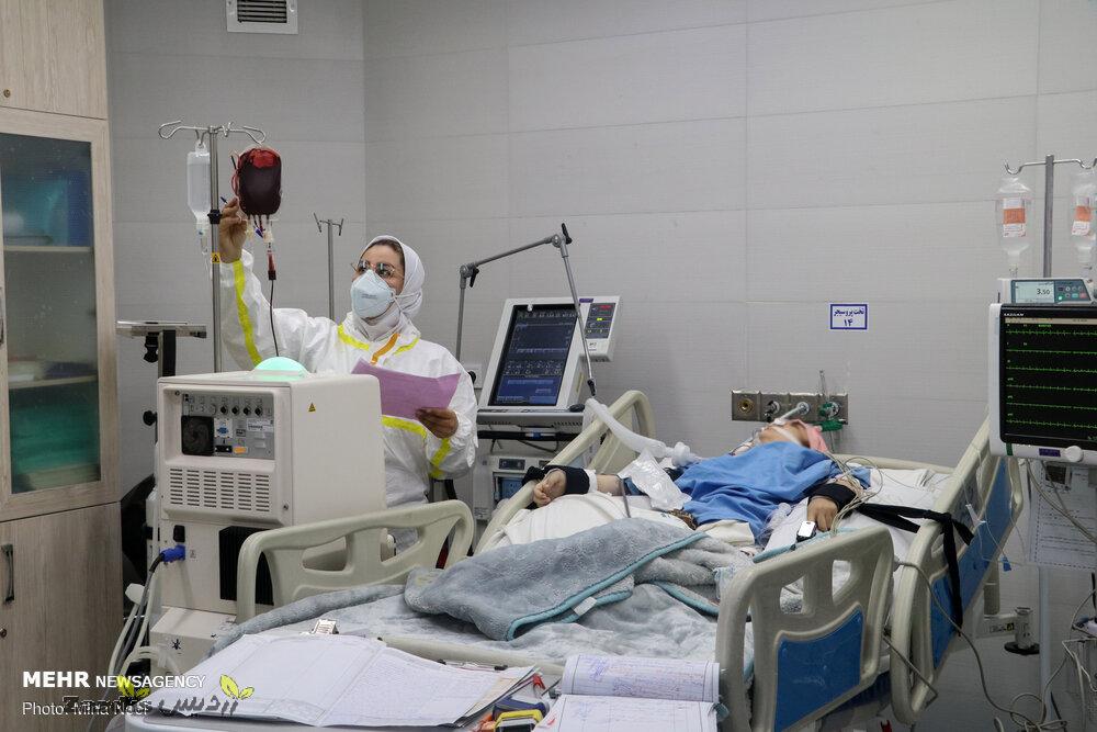 دو مرکز درمانی هلال احمر در نجف و کابل افتتاح می شود_thumbnail