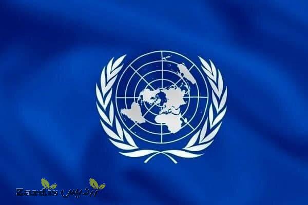 قطعنامه سازمان ملل متحد در مورد «پیشگیری از غرق شدگی» تصویب شد_thumbnail