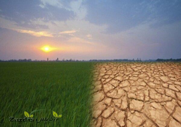 خشک‌سالی مزارع خرمشهر را تهدید می‌کند_thumbnail