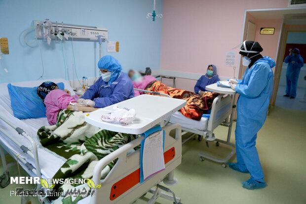 ۳۹۸بیمار مبتلا به کرونا در مراکز درمانی زنجان بستری هستند_thumbnail