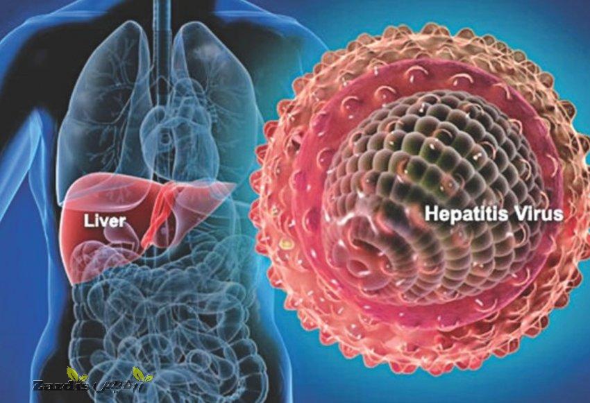هپاتیت منجر به ناباروری در مردان و زنان می شود_thumbnail