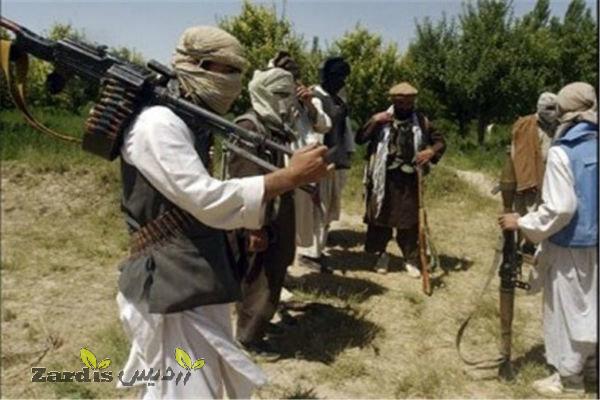 پاکستان اتهام پناه دادن به طالبان را رد کرد_thumbnail