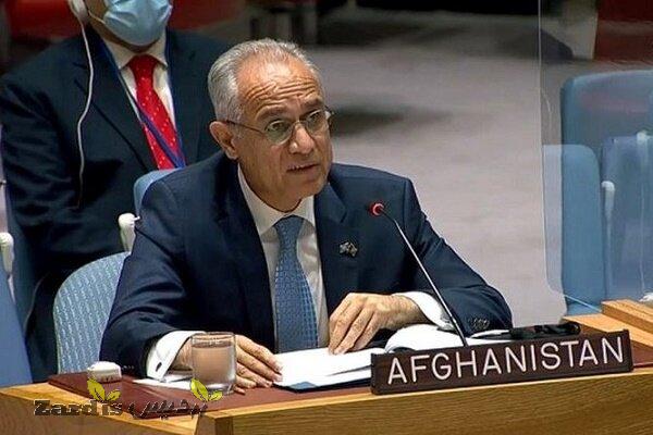نماینده افغانستان در سازمان ملل خواستار توقف خشونت ها شد_thumbnail