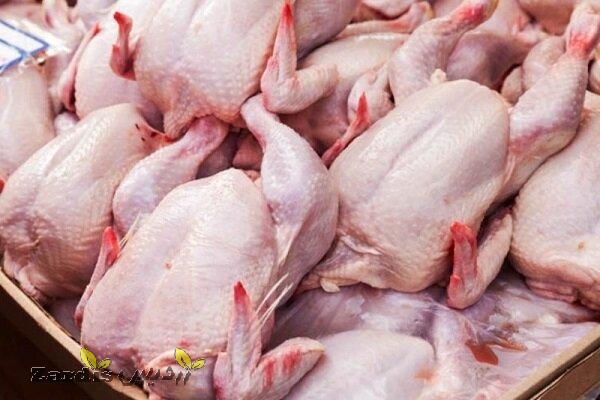 کشتارگاه‌های مرغ به غیر از روز عاشورا در لرستان فعال هستند_thumbnail