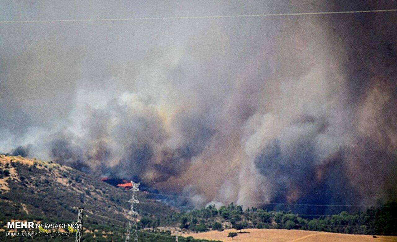 آتش سوزی در منطقه کُنارک روستای «دره مارو» ممسنی ادامه دارد_thumbnail