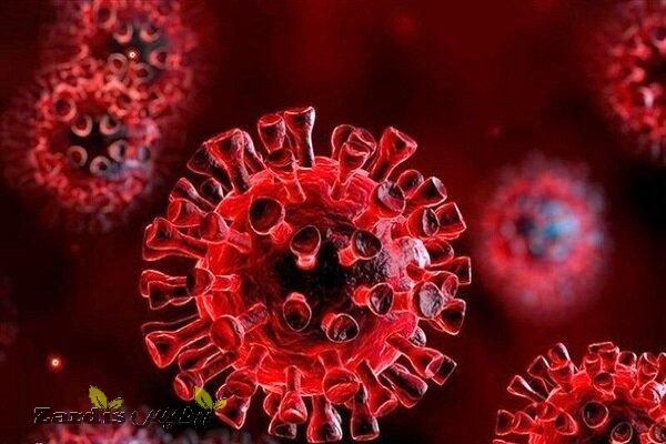 کرونا ویروس توانایی آسیب به DNA انسانی را دارد_thumbnail