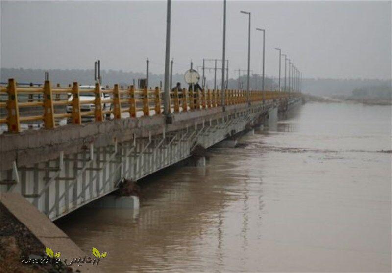 لایروبی و ترمیم پل‌های استان بوشهر نیازمند تامین اعتبار است_thumbnail