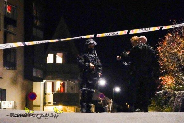 حمله مسلحانه با تیروکمان در نروژ/ ۷ نفر کشته و زخمی شدند_thumbnail