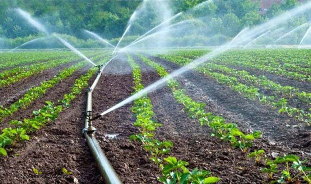 ‘Reducing water consumption in agricultural sector a priority of energy ministry’_thumbnail