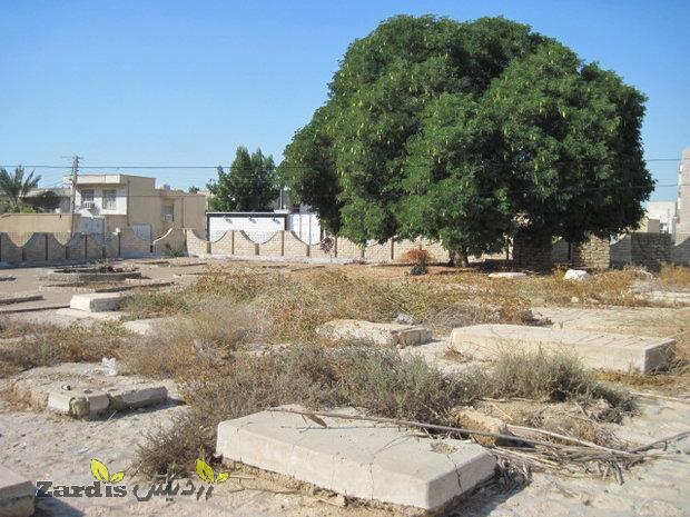 Clean-up project to begin on English Graveyard in southwestern Iran_thumbnail