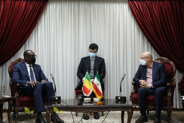 Iran, Mali to expand scientific, technologicalcooperation_thumbnail