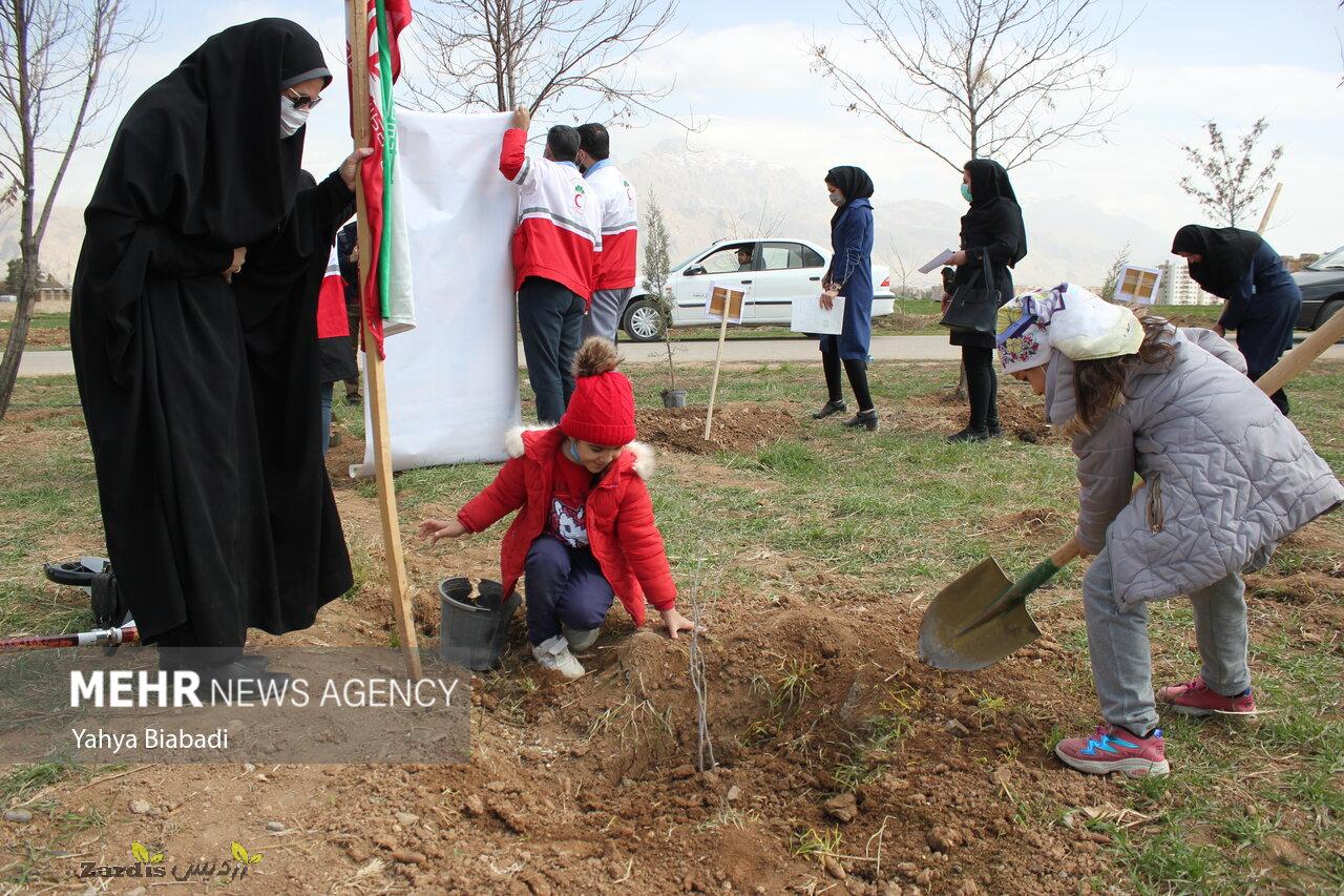 National tree planting day in Kermanshah_thumbnail