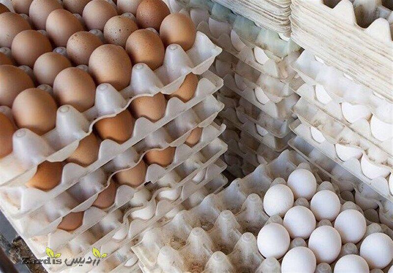 کمبود تولید تخم‌مرغ در اردبیل را جبران می‌کنیم_thumbnail