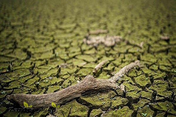 UK may declare drought in August. due to severe heatwave_thumbnail