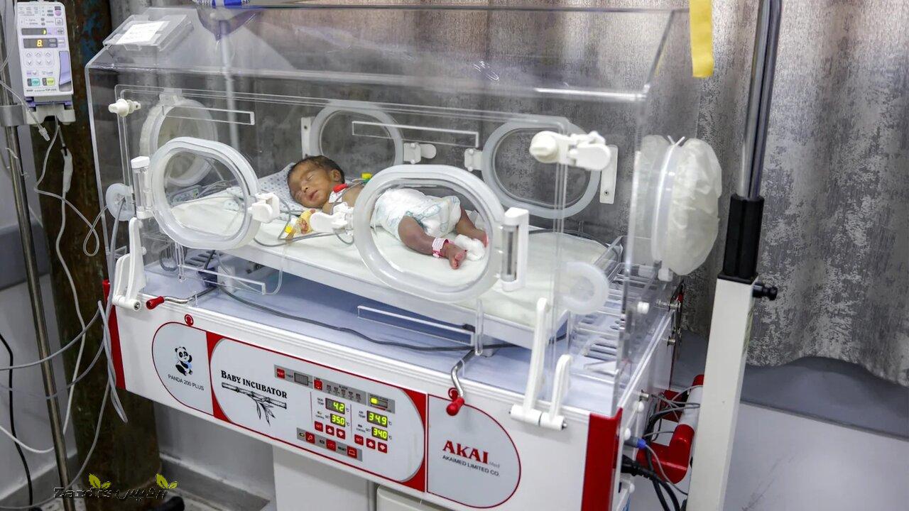 Five more infants died of severe cold in Gaza_thumbnail