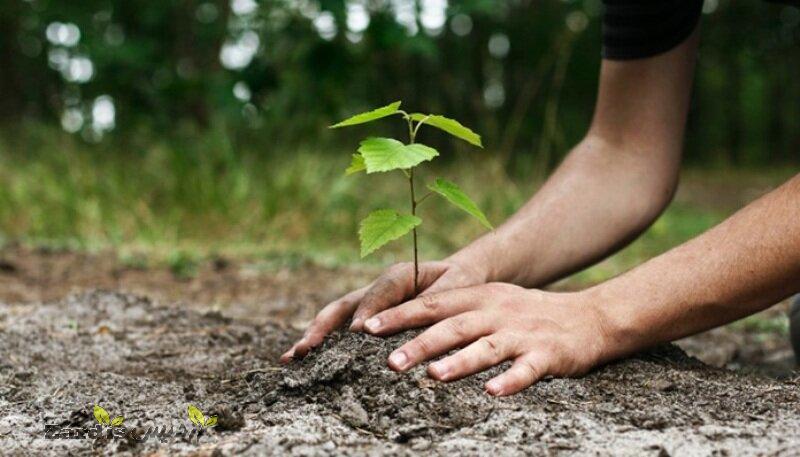 Iran marks National Tree Planting Day_thumbnail