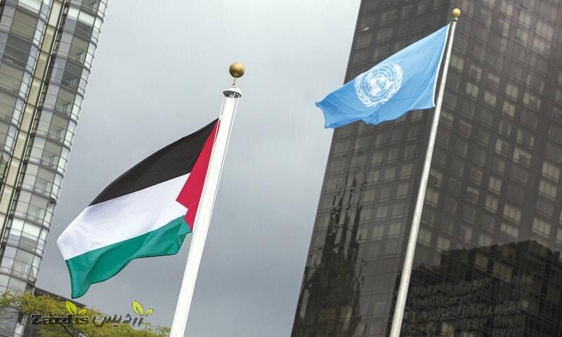 Palestinians to raise flag at WHO for the first time_thumbnail