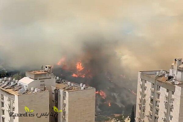 Massive wildfires break out in Ein Kerem, in occupiedlands_thumbnail