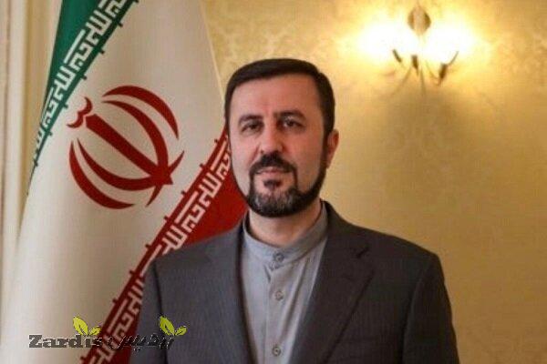 No text for cooperation with IAEA finalized yet: Iran dep.FM_thumbnail