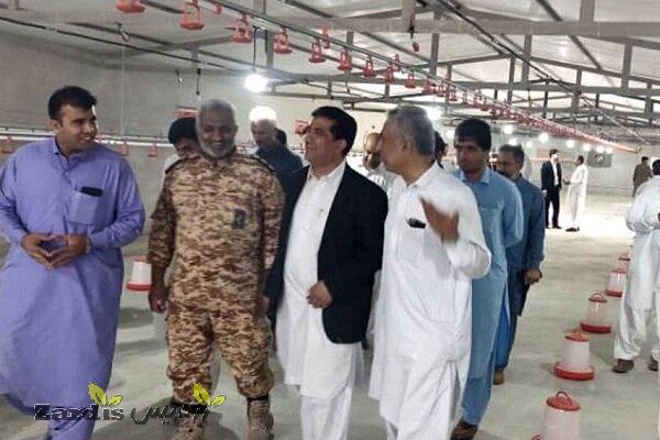 افتتاح اولین واحد پرورش بلدرچین در سیب و سوران_thumbnail