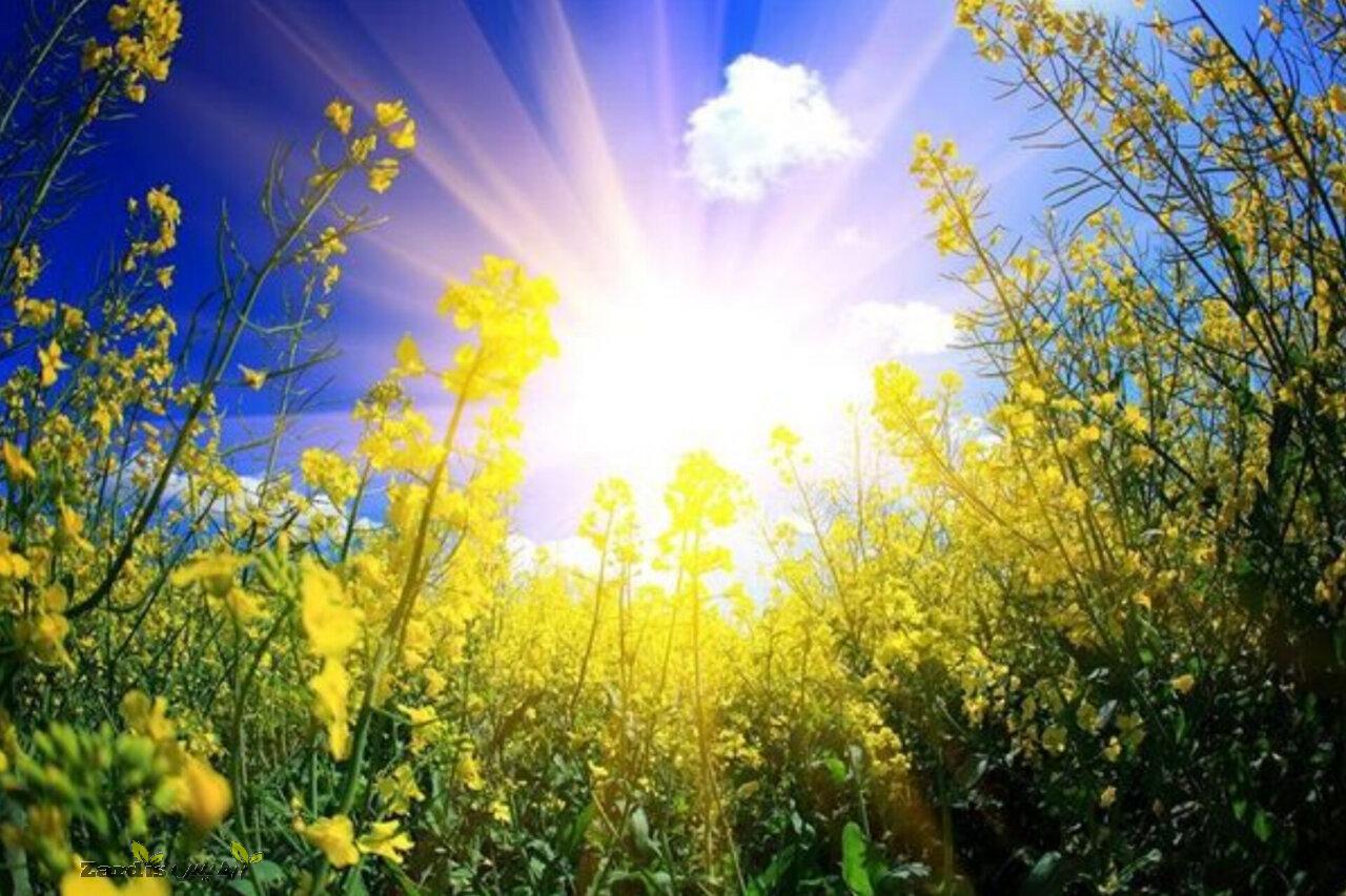 تداوم هوای آرام و افزایش جزئی دما در گلستان تا اواسط هفته آینده_thumbnail