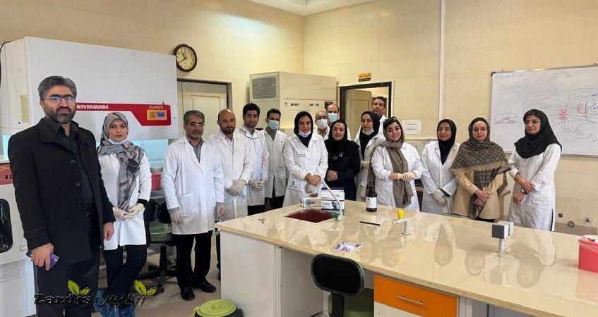 نخستین کارگاه عملی مشترک دانشگاه لرستان با پژوهشگاه رویانبرگزار شد_thumbnail