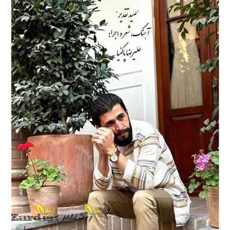 دانلود آهنگ علیرضا پاکنیا صید تقدیر