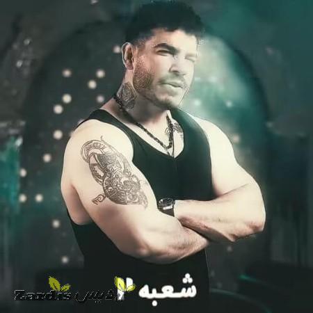 دانلود آهنگ فرهاد فرهادی شعبه دو