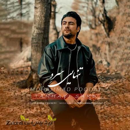 دانلود آهنگ محمد پودات تنهایی سرد