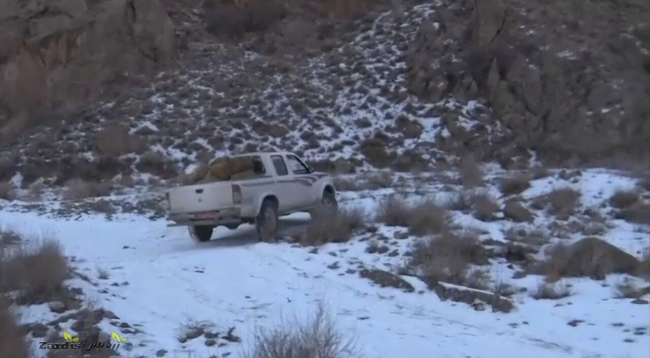 عباس نژاد: آمادگی محیط‌بانان برای شرایط برفی و صعب‌العبور
الزامی است_thumbnail