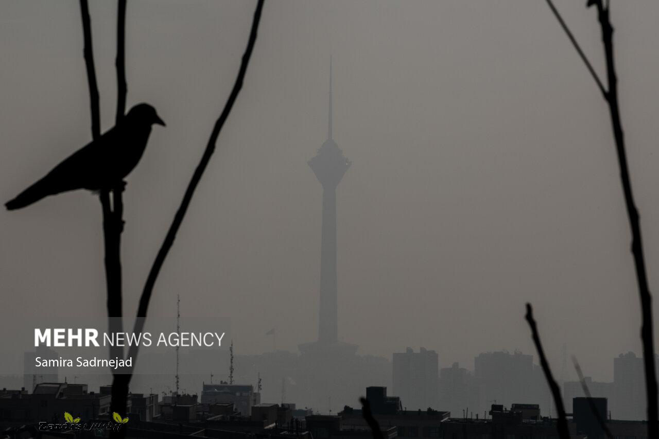 هوای تهران در مرز آلودگی است_thumbnail